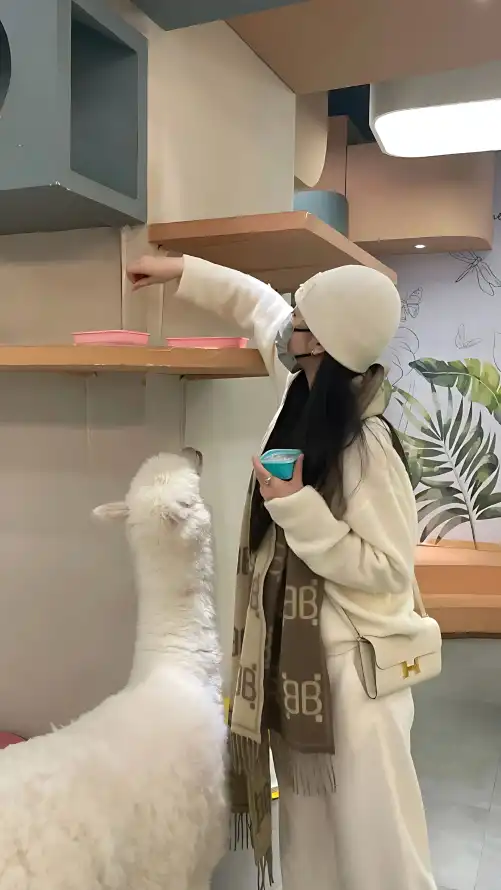 大陆精大陆国产国语精品_香港三级全部电影观看_欧美老妇乱人伦a片精品